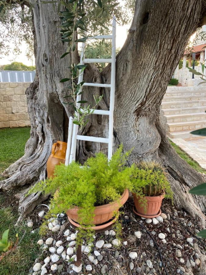 Trulli Del Relax Villa Кастелана Гроте Екстериор снимка